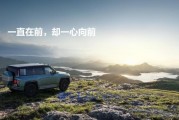 流年身强财弱财运:在线测算号码www.jixiangqiming.vip：-理想车主风评被害，谁是最终受害者？