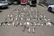 用浸泡过剧毒的小鱼绝户式捕杀6000多只“三有”鸟类，16人被判刑
