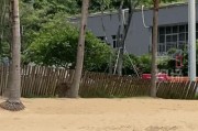 属狗人幸运方位磁场:带 “子萱” 的名字-“没想到海里会有野猪！”广东一女子被撞致骨折，淡定回应：这经历够吹一辈子