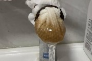 杭州余杭自来水现“粪水味”？余杭水务：嗅味指标超高致异味其他指标正常