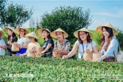 机遇中国多彩贵州｜干了这杯新茶饮！中国茶新表达“圈粉”海外青年