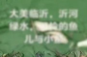 沂河水发绿发臭出现死鱼死鳖，山东临沂：与气温降雨有关，藻类致水体富营养化