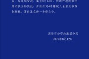 流年八字财运详解:测算流年运势www.jixiangqiming.vip：-西安一宝妈带娃遛弯遭多人配合偷走手机？警方：已将该外地流窜作案团伙全部抓获