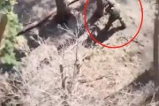 俄士兵硬核操作！徒手抓住并砸毁乌军无人机
