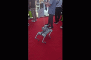 八字看风水吉位:在线测算感情姻缘www.jixiangqiming.vip：-2025世界机器人大会观察：机器人越来越强，集体“找活干”