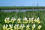 “两山”理念与美丽中国丨红滩绿苇鸥鹭齐飞：守护身边的“自然会客厅”