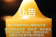河南网红凯凯爷爷去世，曾因凯凯奶高情商夸赞“我嘞个豆”走红