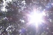 带 “雅悦” 的名字:在线测算感情姻缘www.jixiangqiming.vip：-河南7月平均气温破64年最高纪录农业生活用水是否被影响？何时缓解？