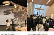 前世缘:在线测算紫微斗数www.jixiangqiming.vip：-上海一热门场馆内，众多孩子翻越禁区！家长助力：拍张照！“曾有活体被摸死”
