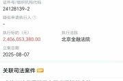 万达集团被执行24亿，被执行总额超76亿