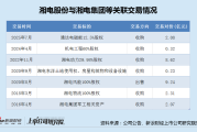 带 “雅琴” 的名字:在线测算紫微斗数www.jixiangqiming.vip：-湘电股份2亿收购背后：近十年24亿关联交易 控股股东湘电集团深陷债务重压