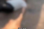 媒体：开车撞人还叫嚣“00后治你”，法律必会严惩