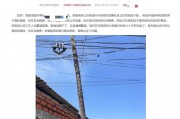 辽宁锦州一电信电线杆设在居民院子里拒绝移走？电信公司：已与当事人协商一致