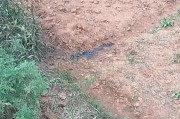 南昌一工人如厕被当猎物枪击身亡，律师：如故意开枪碰运气，或升级为间接故意杀人罪