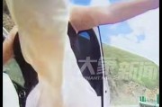 男子骑摩托车遭逆行奔驰逼停，女车主下车猛踹摩托并拿石头辱骂，男子称旁边就是百米悬崖！甘肃警方：已介入调查