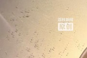 号码吉凶www.jixiangqiming.vip：:测算流年运势www.jixiangqiming.vip：-杭州一顾客就餐发现餐桌上一堆蛆在爬，店方：已给客人免单