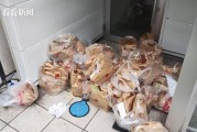 黄牛疯抢日本麦当劳联名套餐只要玩具食物全丢