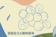 藏在山野里的调色大师！为土地晕染缤纷色彩