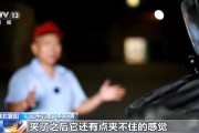 棉花包体积不变重量少了几十公斤叉车司机一句话牵出两亿元大案